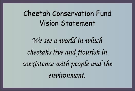 CCF Vision Statement