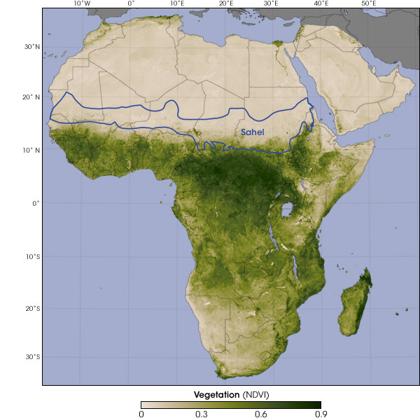 World Map Vegetation